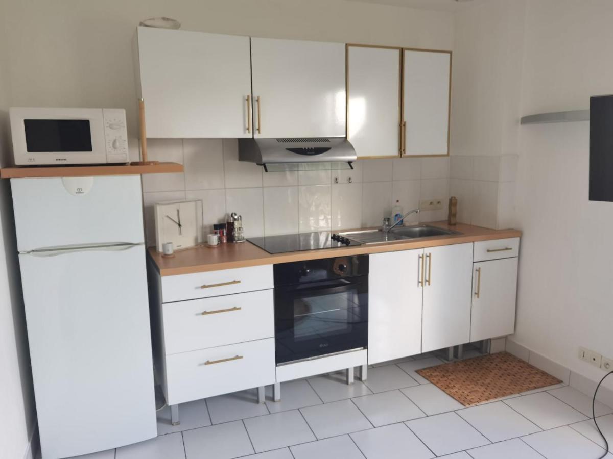 Agreable T1 Bis En Bord De Loire Lejlighed Blois Eksteriør billede